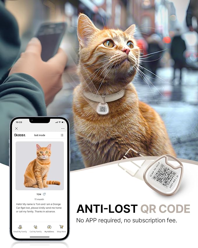 Cat Collar with QR Code Name Tag, Breakaway Kitten Collar - Image 2