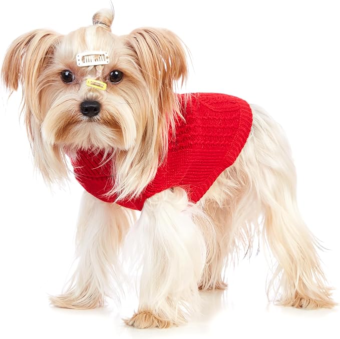 Stretchy Cat Sweater - Image 5