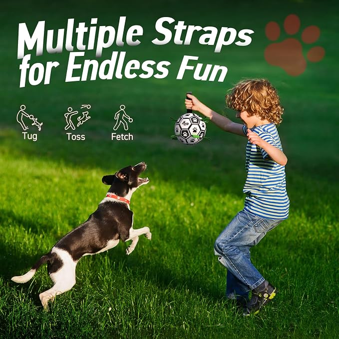 QDAN Dog Toys Dog Balls, World Cup Dog Soccer Ball - Image 7