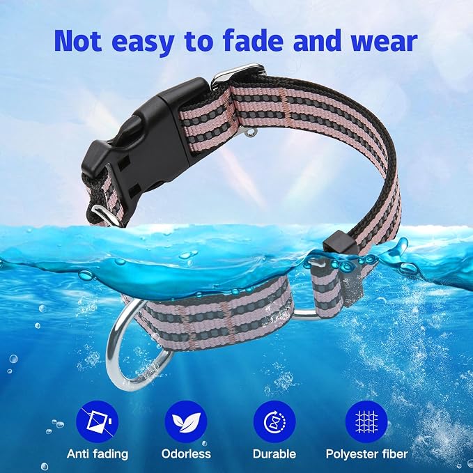 Martingale Dog Collar, Adjustable Nylon Reflective Collar - Image 5