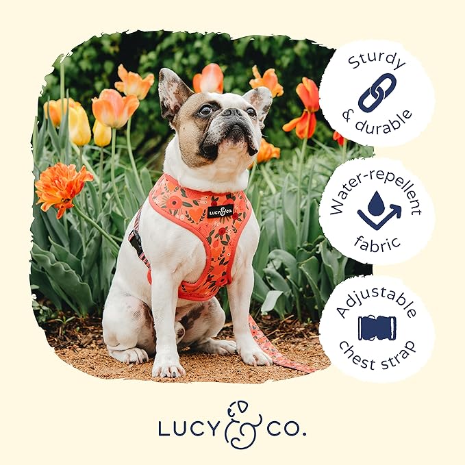 Lucy & Co. Reversible Dog Harness Walking Halter - Image 4
