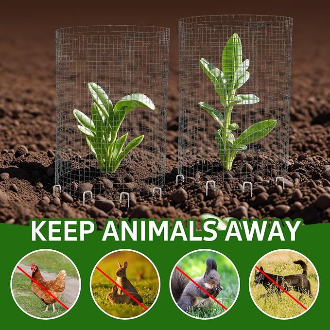 CIEOVO Wire Plant Protector from Animals, Metal Mesh Plant Cage Covers - Image 7