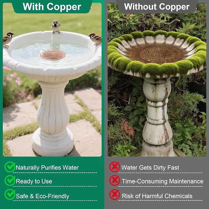 1 Pcs Copper Disc for Bird Bath | 99.99% Pure Copper Plate & Birdbath Disk | - Image 2