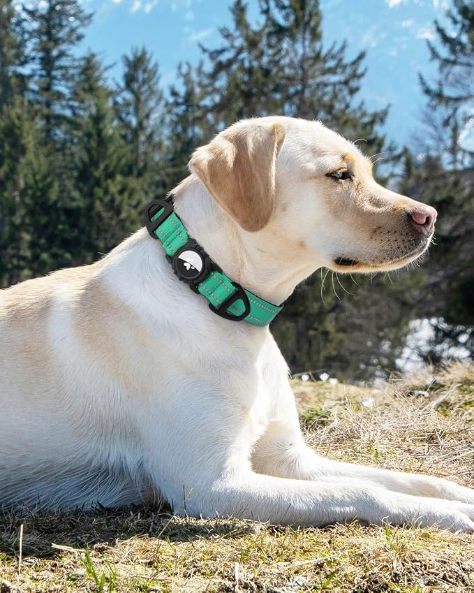 Joytale Airtag Dog Collar, Reflective Pet Collar - Image 8