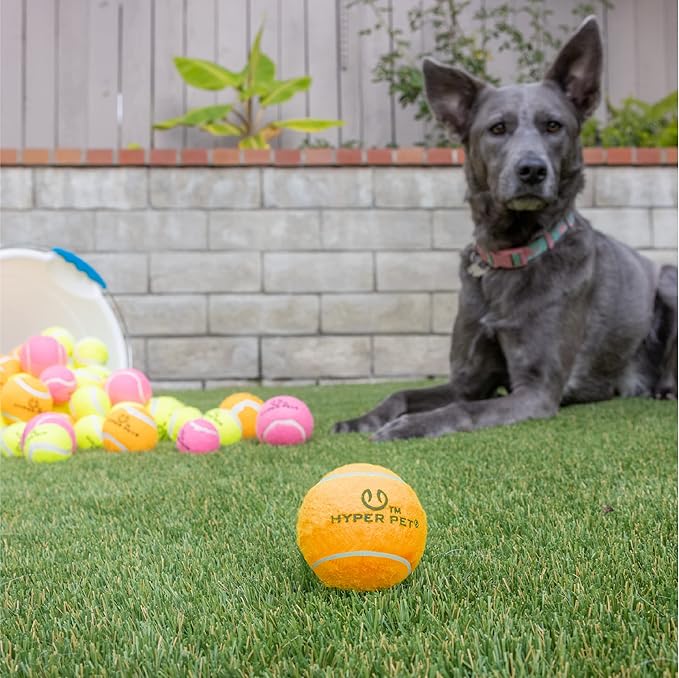 Hyper Pet Tennis Balls for Dogs Interactive Dog Toys work - Image 6