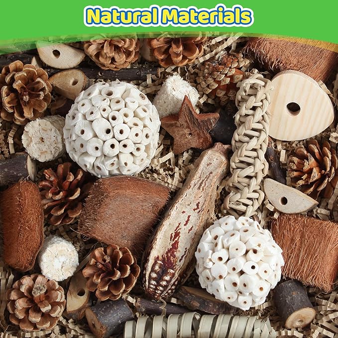 Kyouki Bird Toys Parrot Natural Bird Foraging Box Foot Toys - Image 3