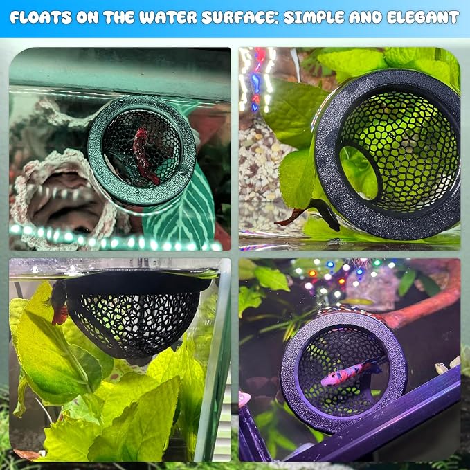 Floating Betta Hide & Shrimp Cave – 3D Printed Aquarium Decor, Feeding Ring & - Image 4