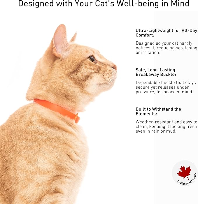 Rubber Cat Collar - Image 4