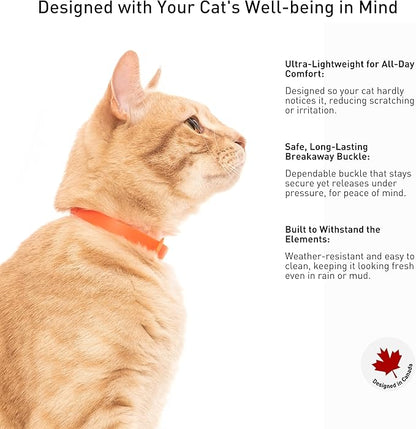 5 Pack Breakaway Cat Collar - Image 4