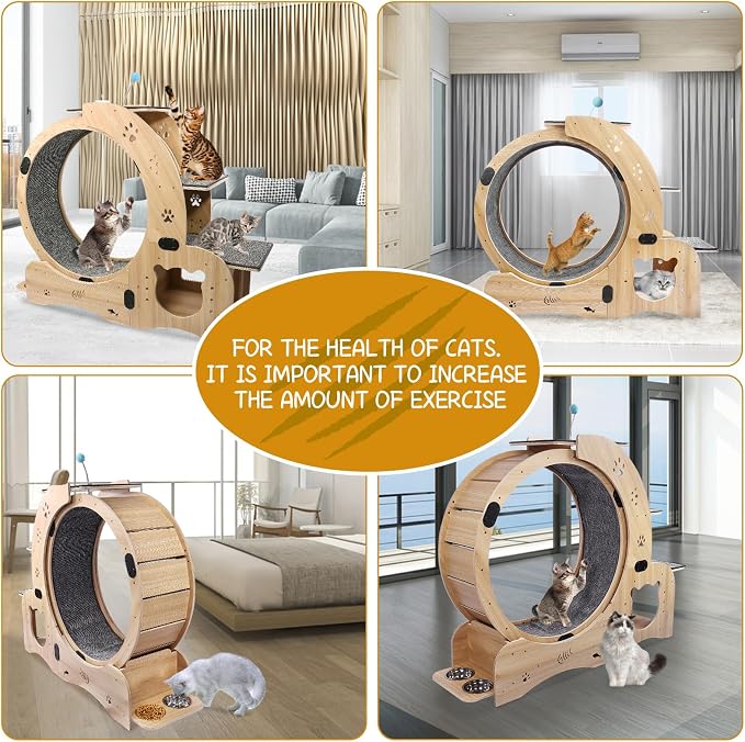 Cat Running Wheel, Cat Treadmill - Image 6
