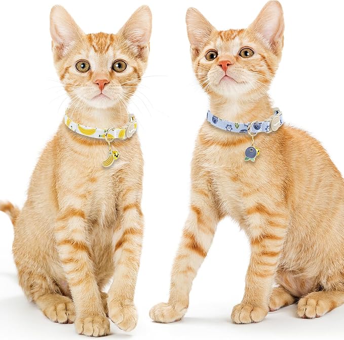 Faygarsle 2 Pack Blueberry Banana Pattern Cat Collars Breakaway Safety Collar - Image 7