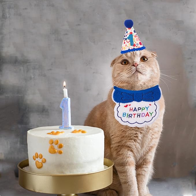ADOGGYGO Cat Birthday Party Supplies - Image 3