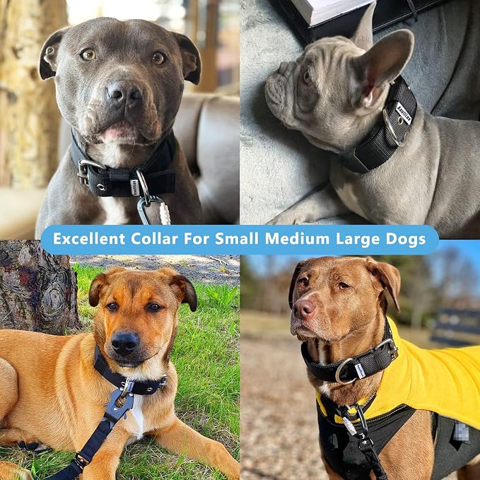 Heavy Duty Tactical Dog Collar - Image 2