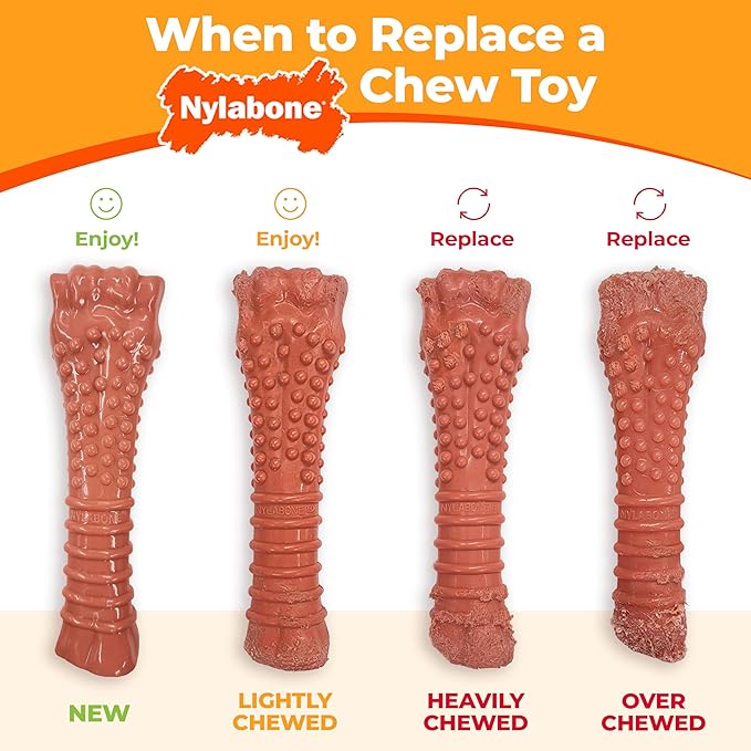 Nylabone Textured Bone Power Chew Toy - Image 8