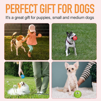 Squeaky Dog Toys Funny Face Chewing Latex Rubber Soft Fetch Play Interactive - Image 8