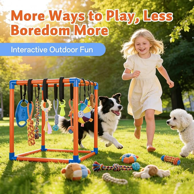 Puppy Play Gym for Small Dogs - Image 7