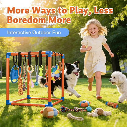 Puppy Play Gym for Small Dogs - Image 7
