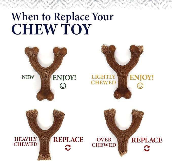 Nylabone Gourmet Style Wishbone Strong Chew Toy - Image 8