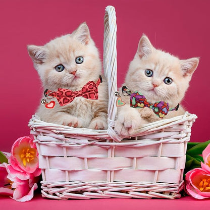 ADOGGYGO Valentine Cat Collar - Image 3