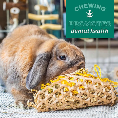 Oxbow Enriched Life Timothy Party Pack – Rabbit and Guinea Pig Toys, Chinchilla - Image 5