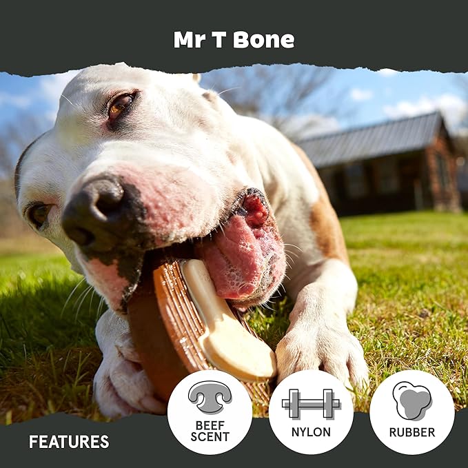Barkbox Super Chewer Tough Dog Chew Toys - Image 4