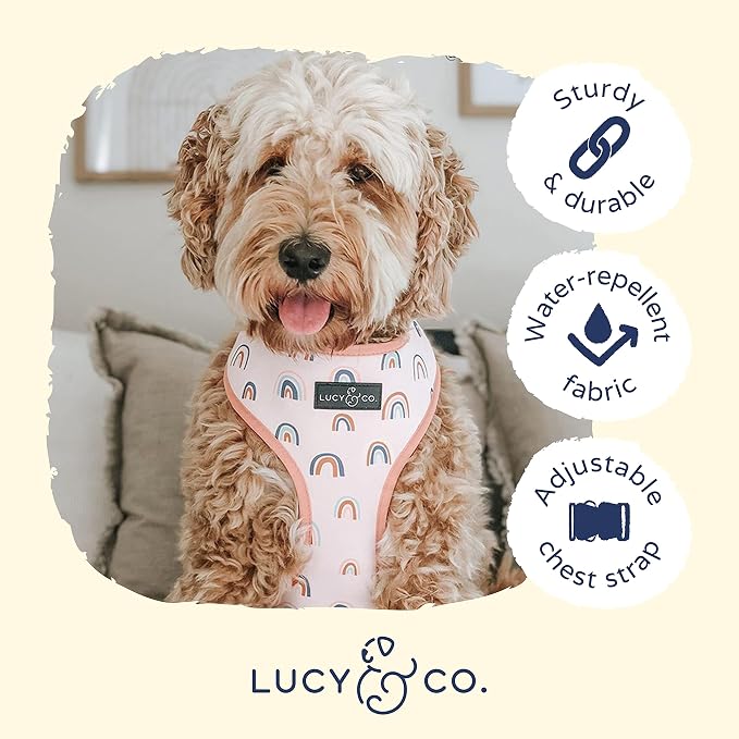 Lucy & Co. in The Clouds, Cute Reversible Dog Harness Walking Halter - Image 4
