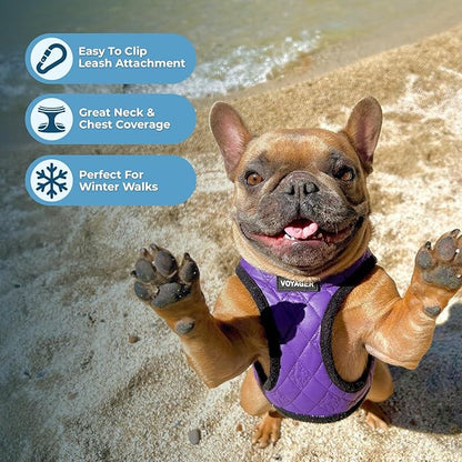 Best Pet Supplies - Image 5