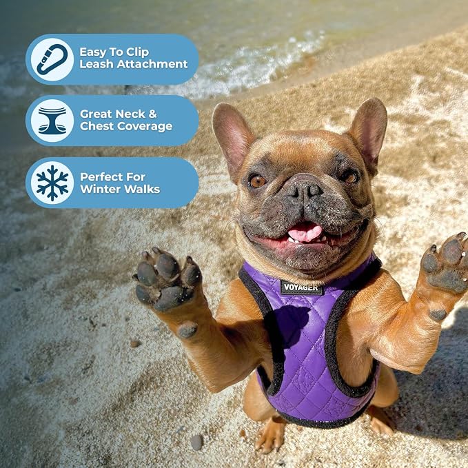Best Pet Supplies - Image 5