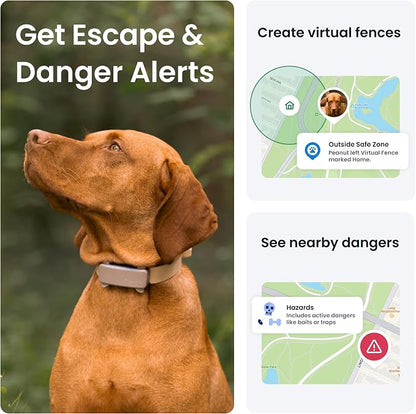 Tractive GPS Dog Tracker Real-time Pet Location Tracker | Health & Wellness - Image 7