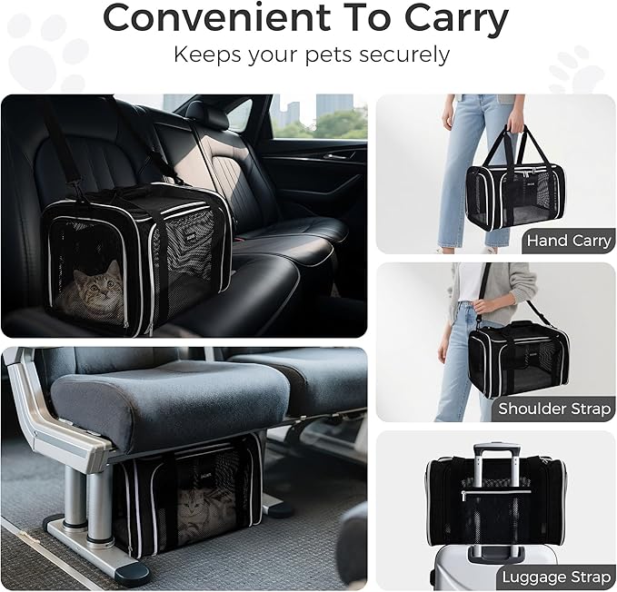 BAGLHER Pet Travel Carrier, Cat Carriers Dog Carrier - Image 6