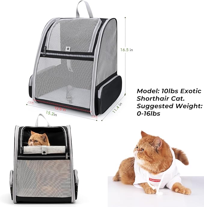 Lollimeow Cat Backpack Carrier, Airline Approved, Safe - Image 2