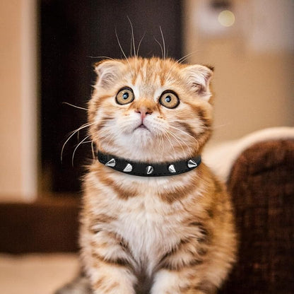 EXPAWLORER Leather Cat Collar for Girl Boy- Adjustable Pet Collar - Image 6