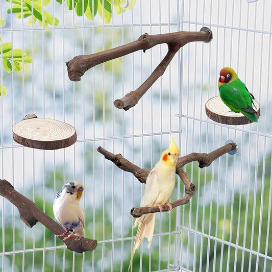 Mogoko 5PCS Bird Perch Natural Wood Grape Stick Stand, 3 Grape Stick Paw - Image 2