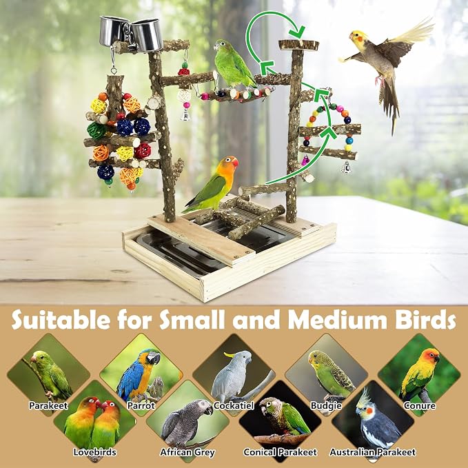 Tfwadmx Bird Playground Natural Wood Bird Play Stands Parrot Perch Stand - Image 6