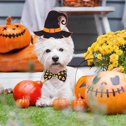 Halloween Dog Bow Tie Collar, Holiday Candy Corn Collar - Image 3