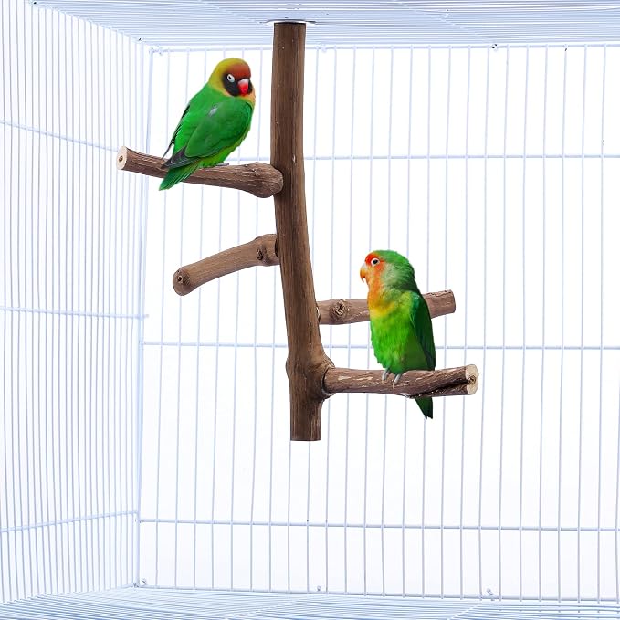 CozyCabin Natural Bird Perch Stand - Image 2