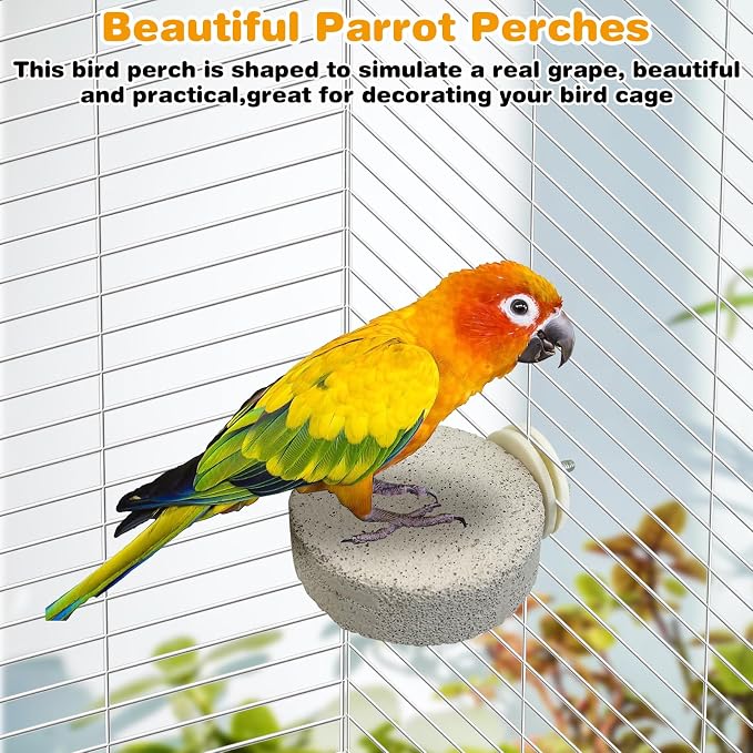 PINVNBY 4 PCS Bird Perches Calcium Parrot Perch Stand Bird Beak Grinding Stone - Image 7