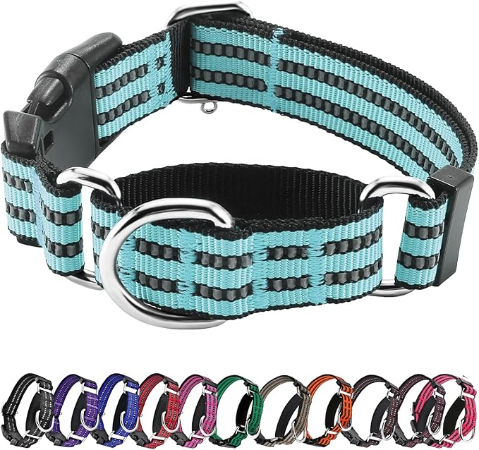 Hikiko Martingale Dog Collars Reflective Nylon Dog Collar by Hikiko