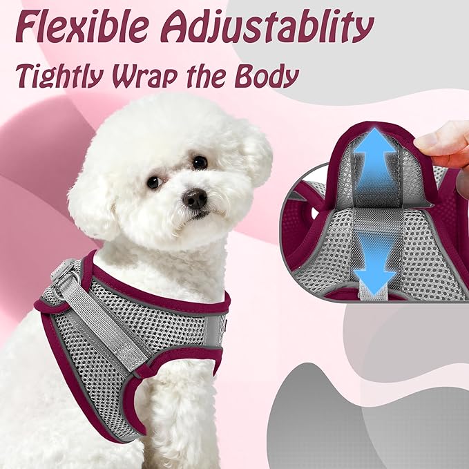 AIITLE Escape Proof Dog Harness - Image 7