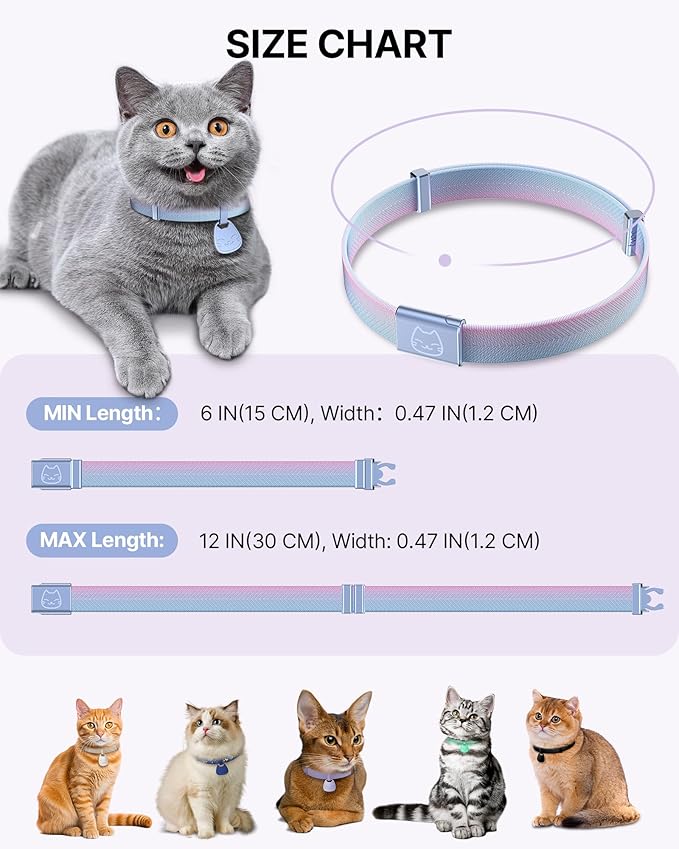 Cat Collar with QR Code Name Tag, Breakaway Kitten Collar - Image 6
