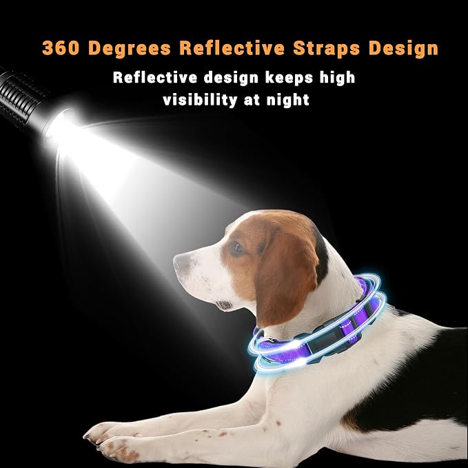 2 Pack Reflective Dog Collar - Image 4