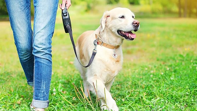 Service Dog Tag Double Sided - Image 6