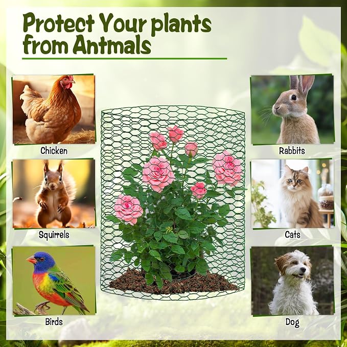 CIEOVO 32.8ft × 15.74 inches Wire Plant Protector from Animals, Metal Mesh - Image 3