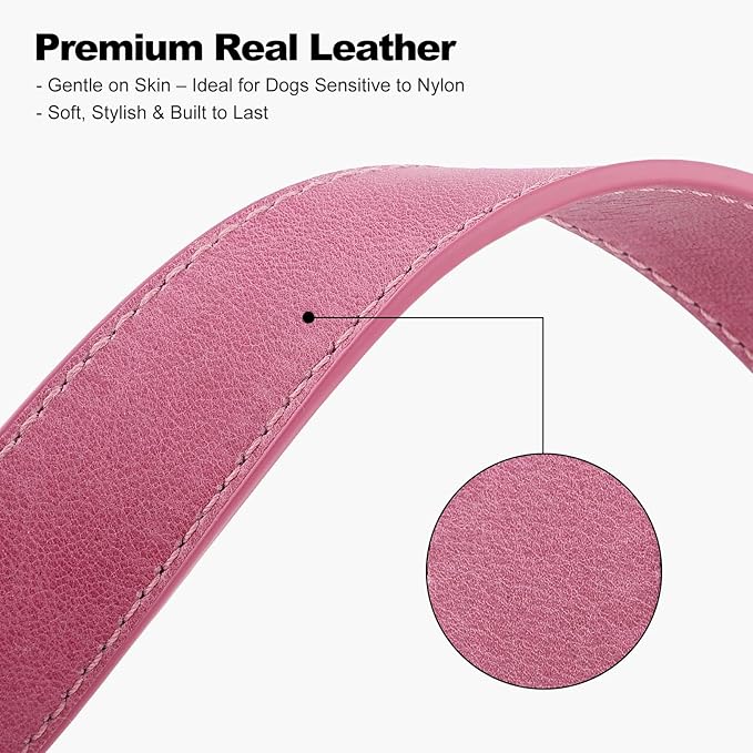 Plutus Pet Genuine Leather Dog Collar – Adjustable Pet Collar - Image 4