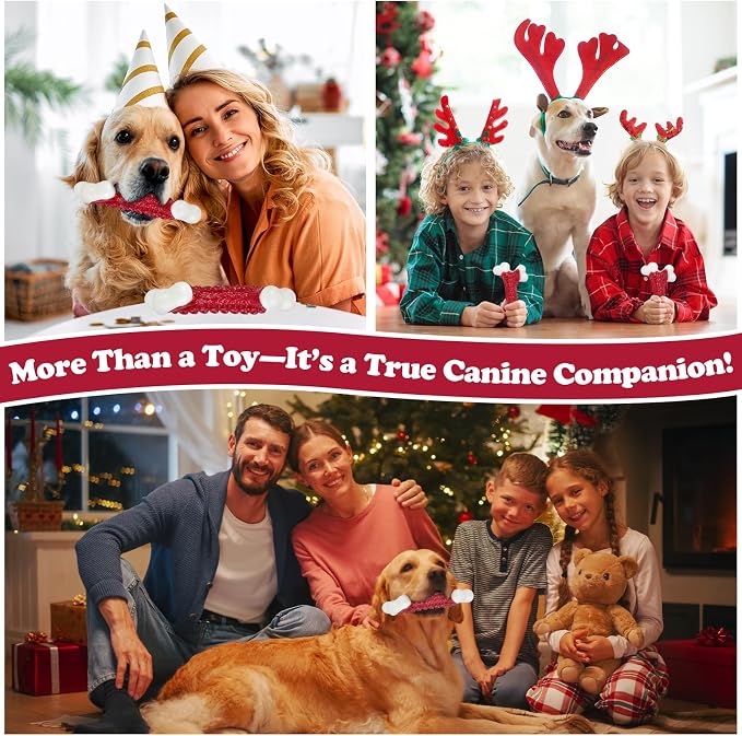 10-Pack Tough Dog Toys, Toys for Aggressive Chewers Large Breed, Chew Dogs - Image 4