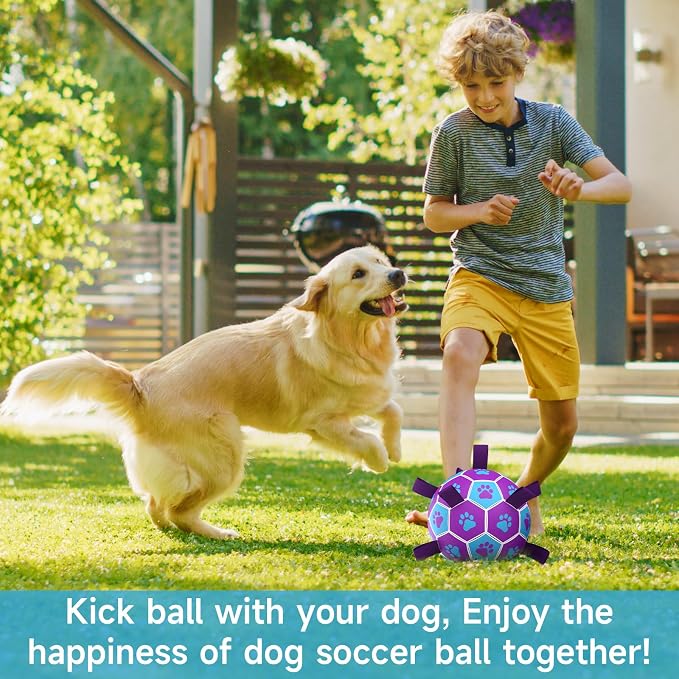 QDAN Dog Toys Soccer Ball - Image 3