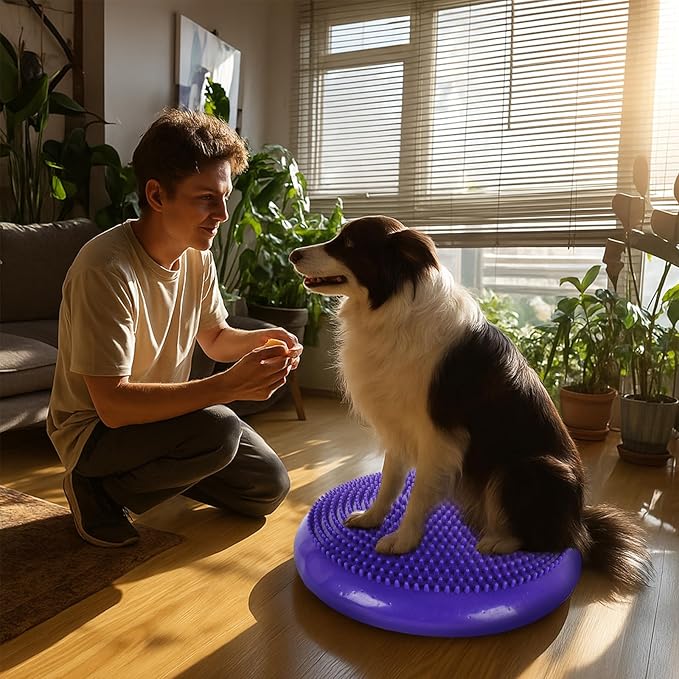 Dog Balance Disc 14", Dog Balance Equipment - Image 6