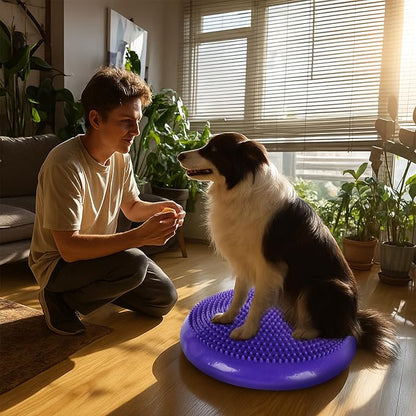 Dog Balance Disc 14", Dog Balance Equipment - Image 6