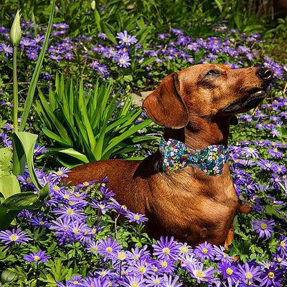 Lionheart glory Dog Collar Darkblue Flower Dog Bow Collars Floral Dog Collar - Image 4