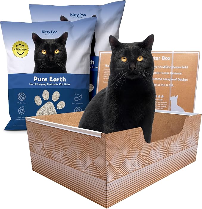 Kitty Poo Club Leakproof Disposable 2-Pack Cat Litter Box by KittyPooClub